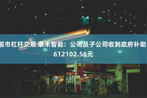 股市杠杆交易 泰禾智能：公司及子公司收到政府补助1612102.56元