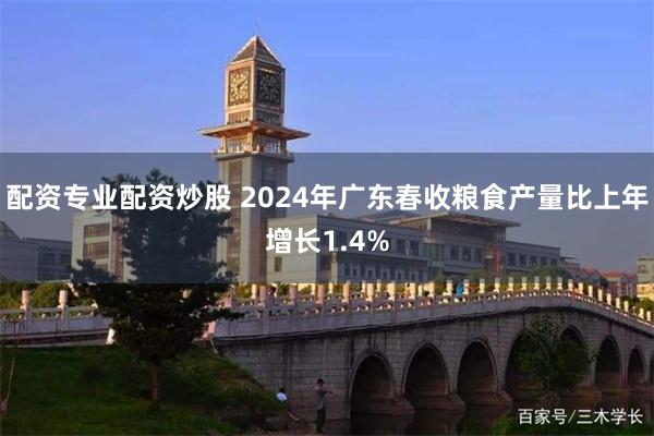 配资专业配资炒股 2024年广东春收粮食产量比上年增长1.4%