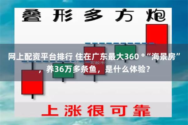 网上配资平台排行 住在广东最大360 °“海景房”，养36万多条鱼，是什么体验？