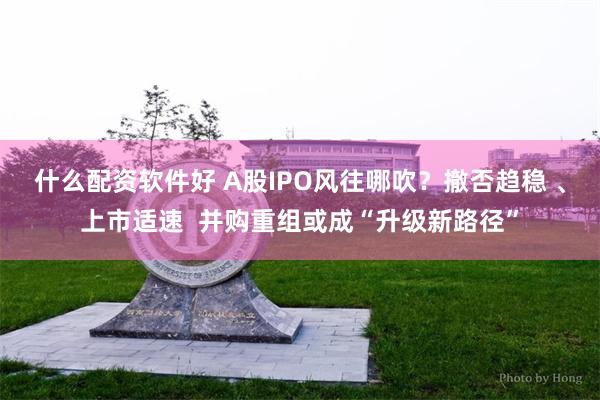 什么配资软件好 A股IPO风往哪吹？撤否趋稳 、上市适速  并购重组或成“升级新路径”