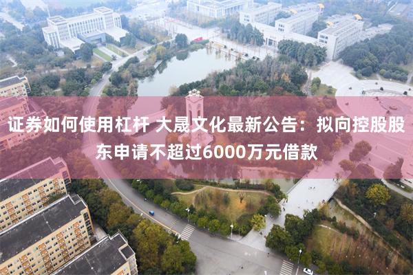 证券如何使用杠杆 大晟文化最新公告：拟向控股股东申请不超过6000万元借款