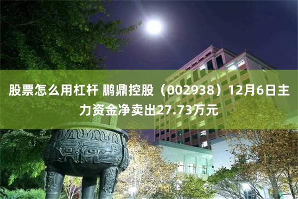 股票怎么用杠杆 鹏鼎控股（002938）12月6日主力资金净卖出27.73万元