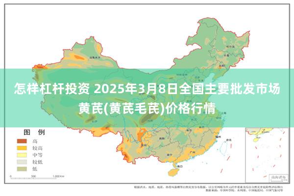 怎样杠杆投资 2025年3月8日全国主要批发市场黄芪(黄芪毛芪)价格行情